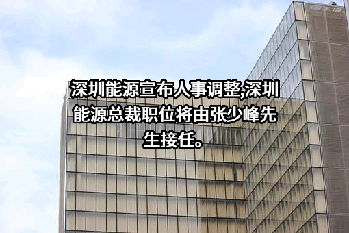 深圳能源集团股份有限公司