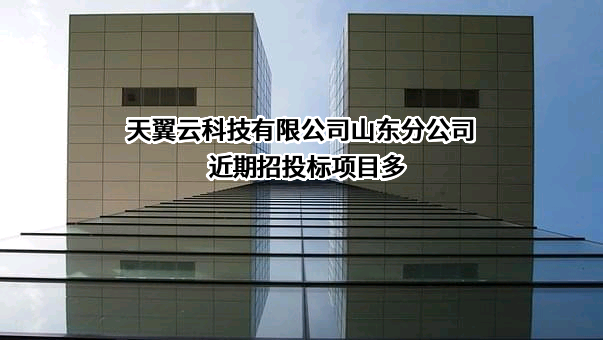 天翼云科技有限公司山东分公司