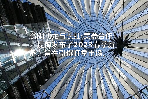 资阳市飞龙电器有限责任公司