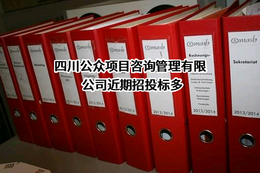 四川公众项目咨询管理有限公司