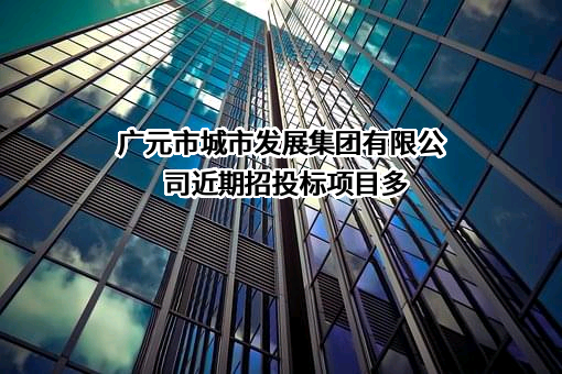 广元市城市发展集团有限公司