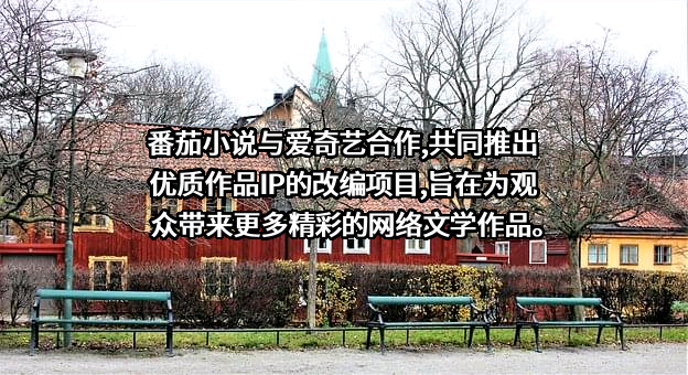 北京爱奇艺科技有限公司