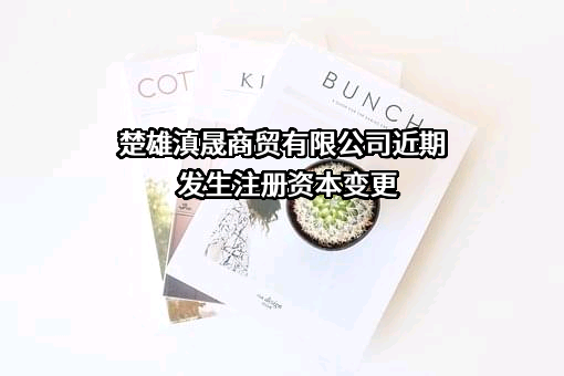 楚雄滇晟商贸有限公司