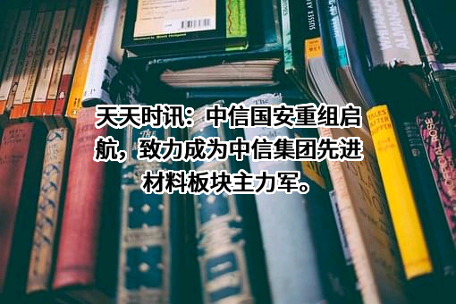 中信国安实业集团有限公司