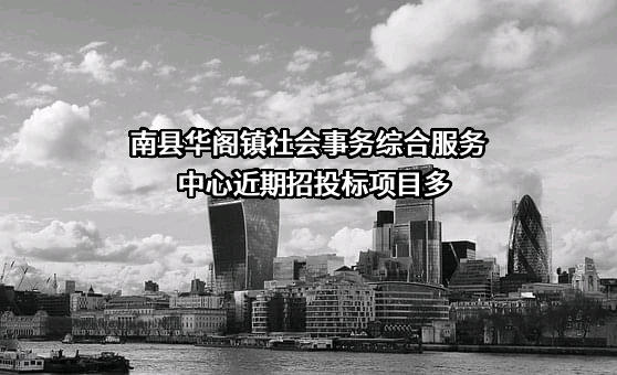 南县华阁镇社会事务综合服务中心近期招投标项目多