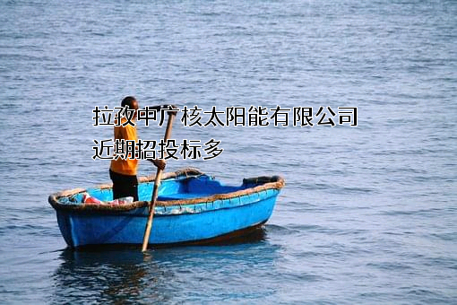 拉孜中广核太阳能有限公司近期招投标项目多