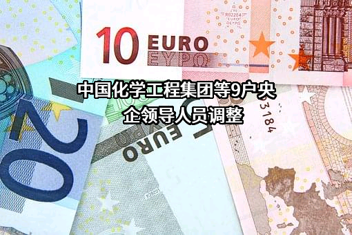 中国医药集团有限公司