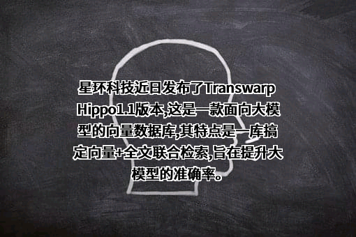 星环信息科技（上海）股份有限公司