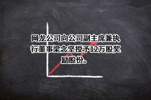 网龙网络控股有限公司