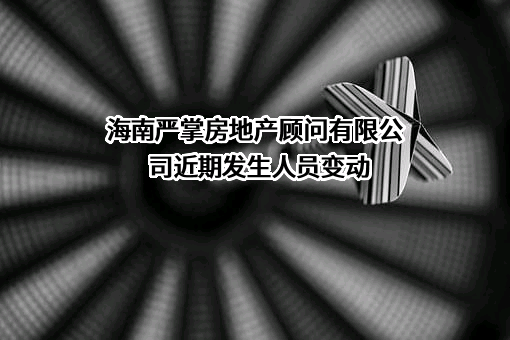 海南严掌房地产顾问有限公司