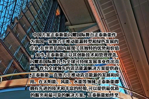 上海正泰新能电源系统有限责任公司