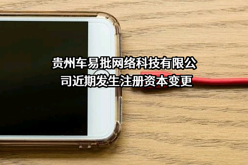 贵州车易批网络科技有限公司