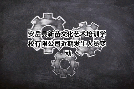 安岳县新苗文化艺术培训学校有限公司