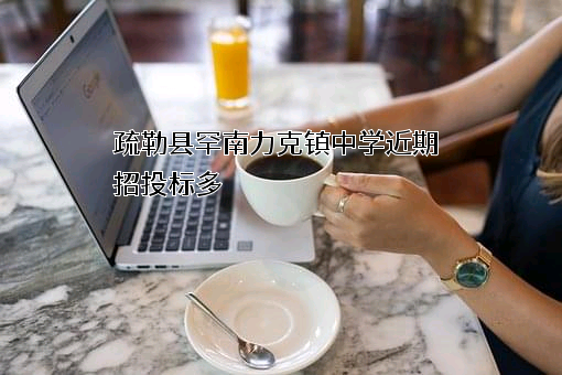 疏勒县罕南力克镇中学