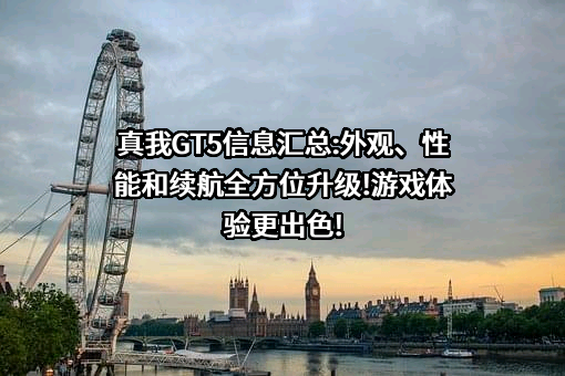比亚迪电子（国际）有限公司