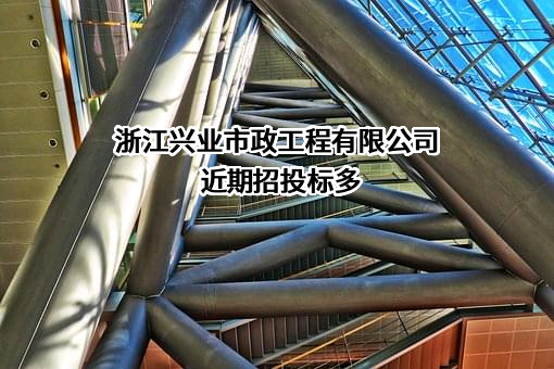 浙江兴业市政工程有限公司