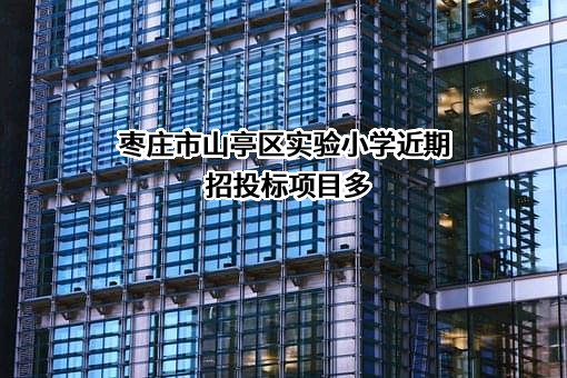 枣庄市山亭区实验小学