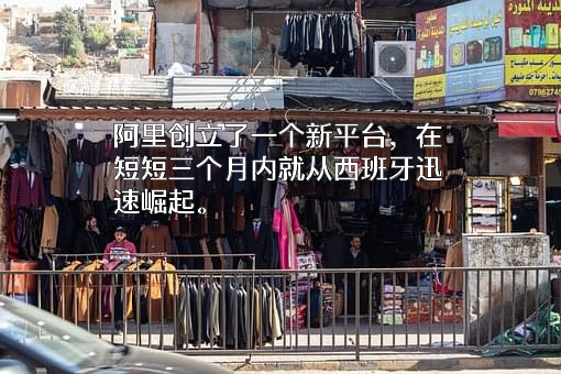 阿里巴巴集团控股有限公司