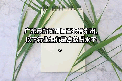 广州网才信息技术有限公司
