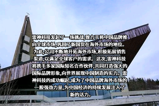 青岛雷神科技股份有限公司