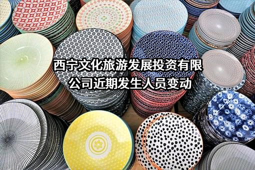 西宁文化旅游发展投资有限公司