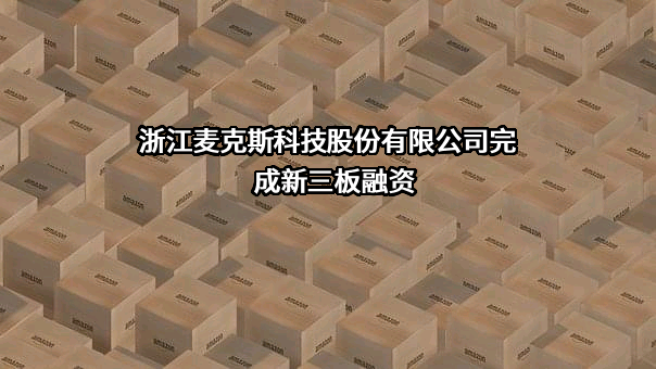 浙江麦克斯科技股份有限公司