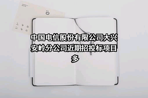 中国电信股份有限公司大兴安岭分公司