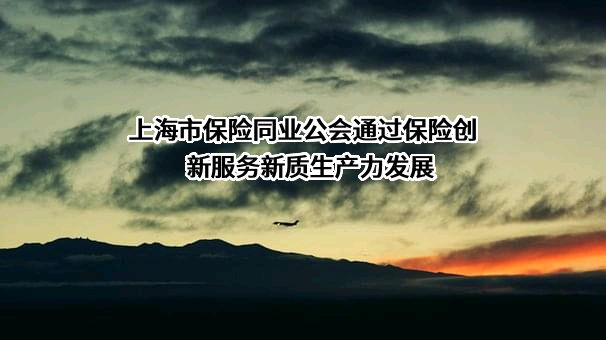 上海市保险同业公会