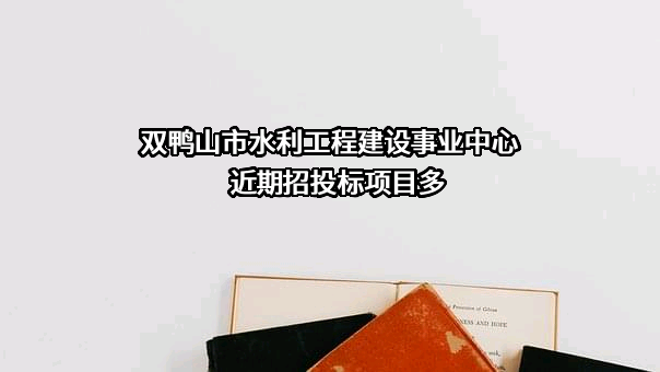 双鸭山市水利工程建设事业中心