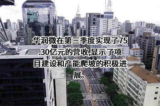 华润微电子控股有限公司