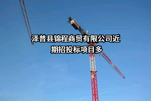 泽普县锦程商贸有限公司