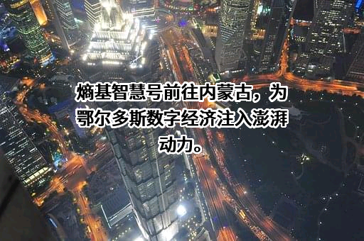 鄂尔多斯市文德电子科技有限责任公司