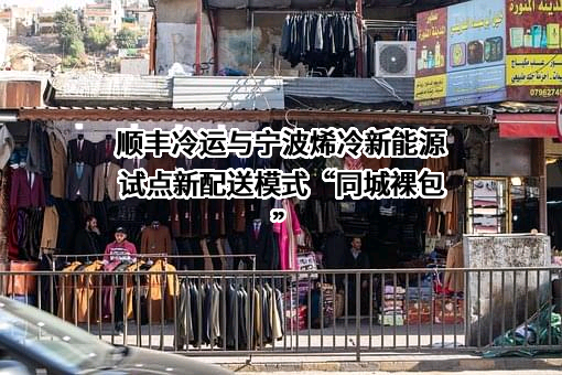 上海顺丰冷运供应链有限公司