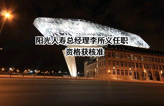 阳光人寿保险股份有限公司