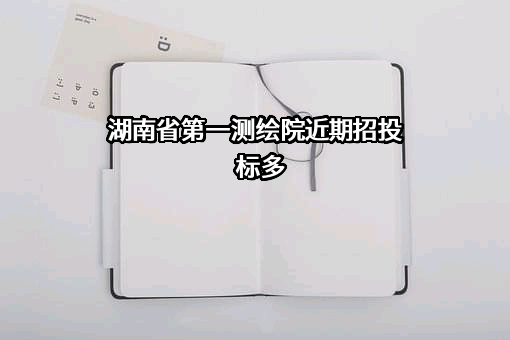 湖南省第一测绘院