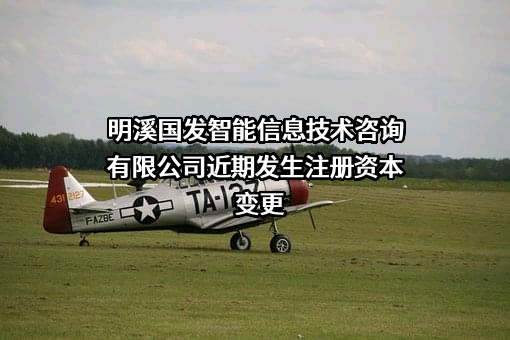 明溪国发智能信息技术咨询有限公司
