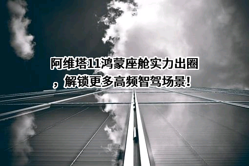 华为技术有限公司