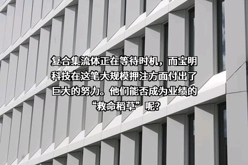 深圳市宝明科技股份有限公司