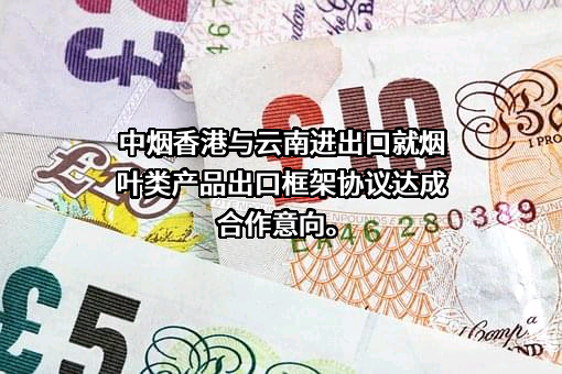 中烟国际（香港）有限公司