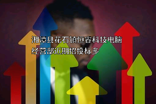 湘潭县花石镇恒睿科技电脑经营部近期招投标项目多