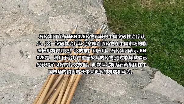 江苏康宁杰瑞生物制药有限公司