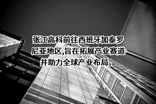 上海张江高科技园区开发股份有限公司