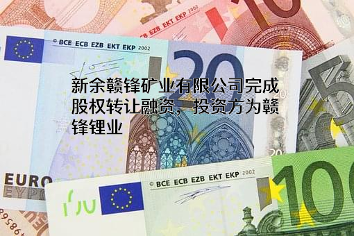 新余赣锋矿业有限公司