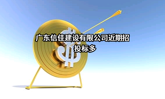 广东信佳建设有限公司