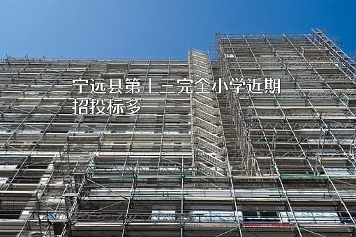 宁远县第十三完全小学近期招投标项目多