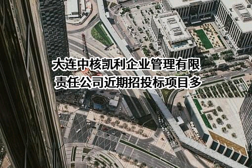 大连中核凯利企业管理有限责任公司近期招投标项目多