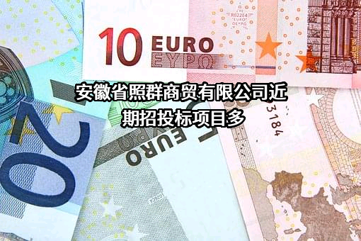 安徽省照群商贸有限公司近期招投标项目多