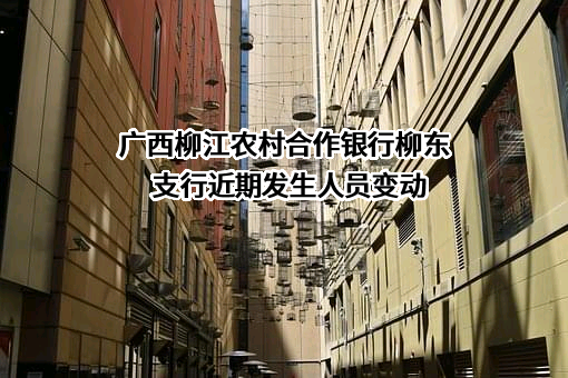 广西柳江农村合作银行柳东支行