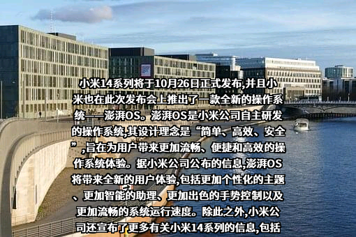 小米科技有限责任公司