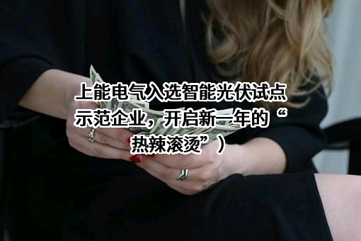 上能电气股份有限公司
